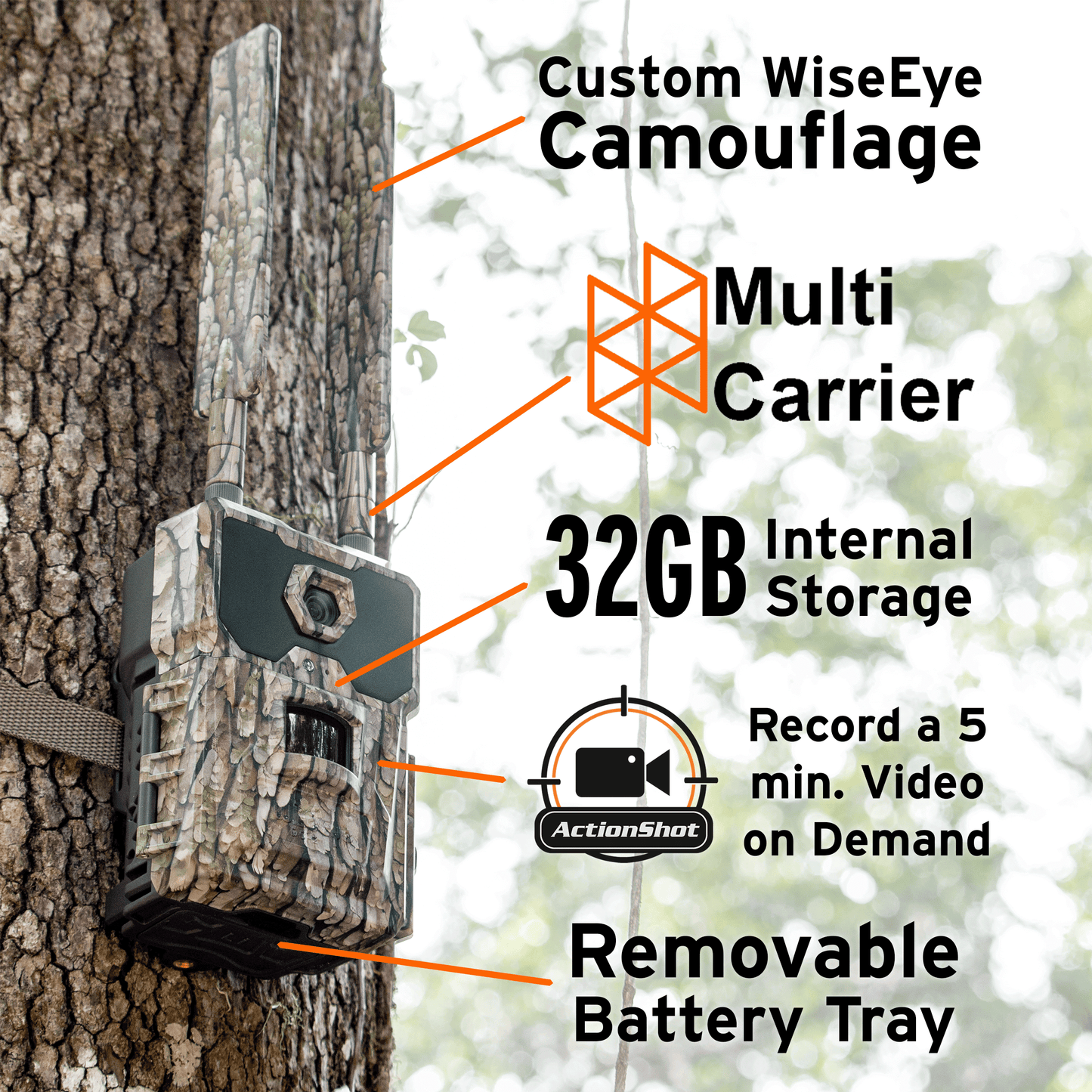 WiseEye DC-2